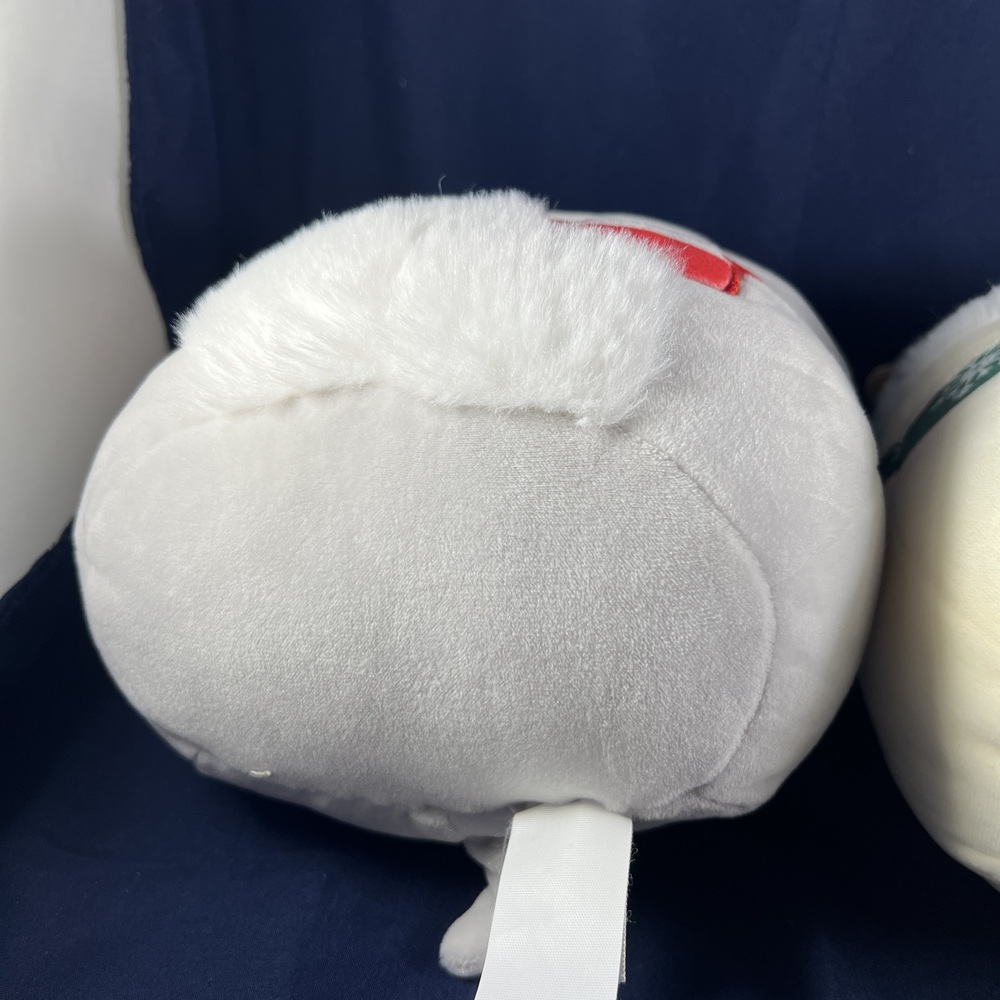 2022 Christmas Squishmallows Soft Plush Toys  Ivy the Dog and Cam the Cat Winter - Picture 9 of 11